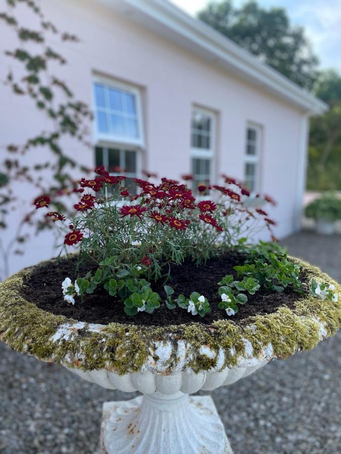 The Cottage At Riverbank Ballinamallard Eksteriør billede